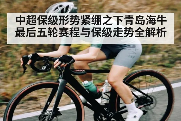 中超保级形势紧绷之下青岛海牛最后五轮赛程与保级走势全解析